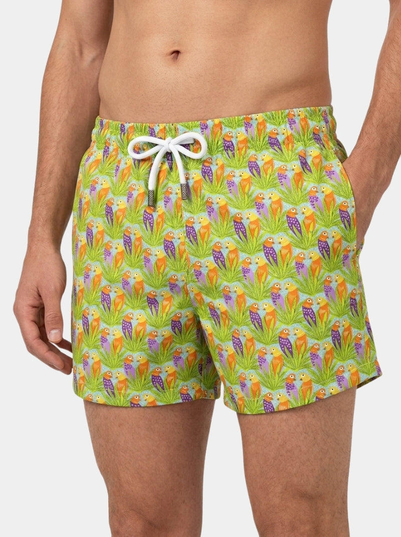 Traje de baño - Love Birds Amarillo Caballero - Love Splash