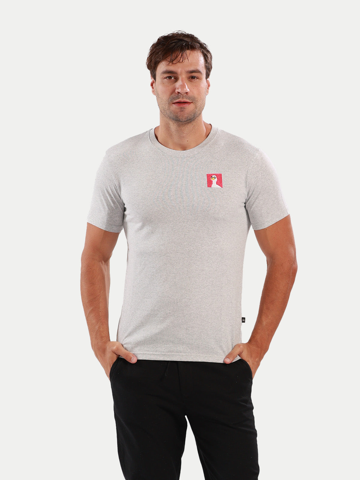 Playera de algodón para hombre - Summer Duck Gray - Diamond Finish