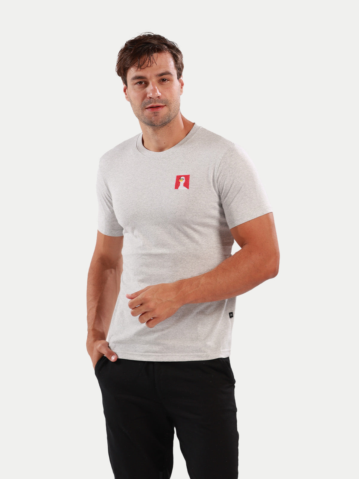 Playera de algodón para hombre - Summer Duck Gray - Diamond Finish
