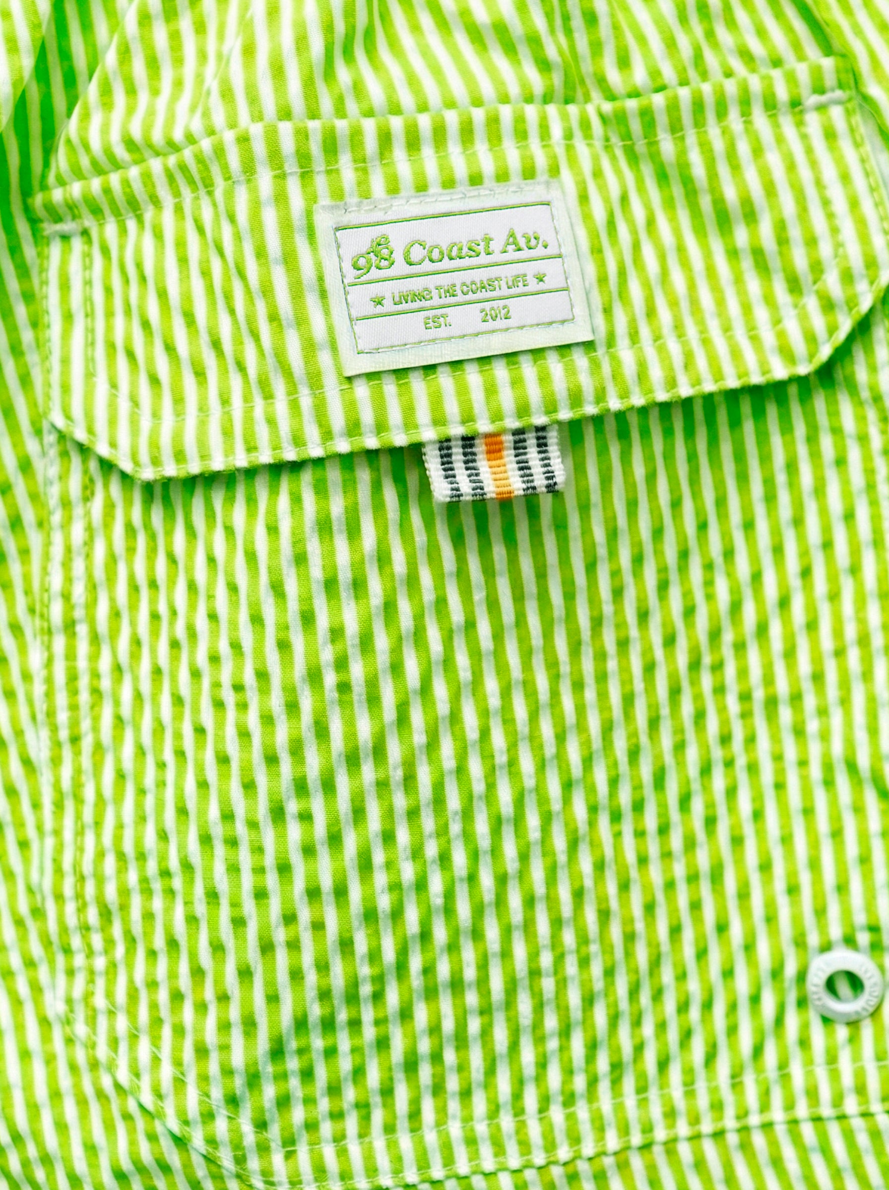 Traje de baño Waterline para niño, vista posterior, color verde