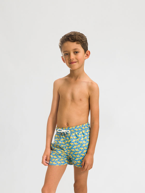 Traje de Baño Niño - Bañador Congo Blue Short - Fácil Secado