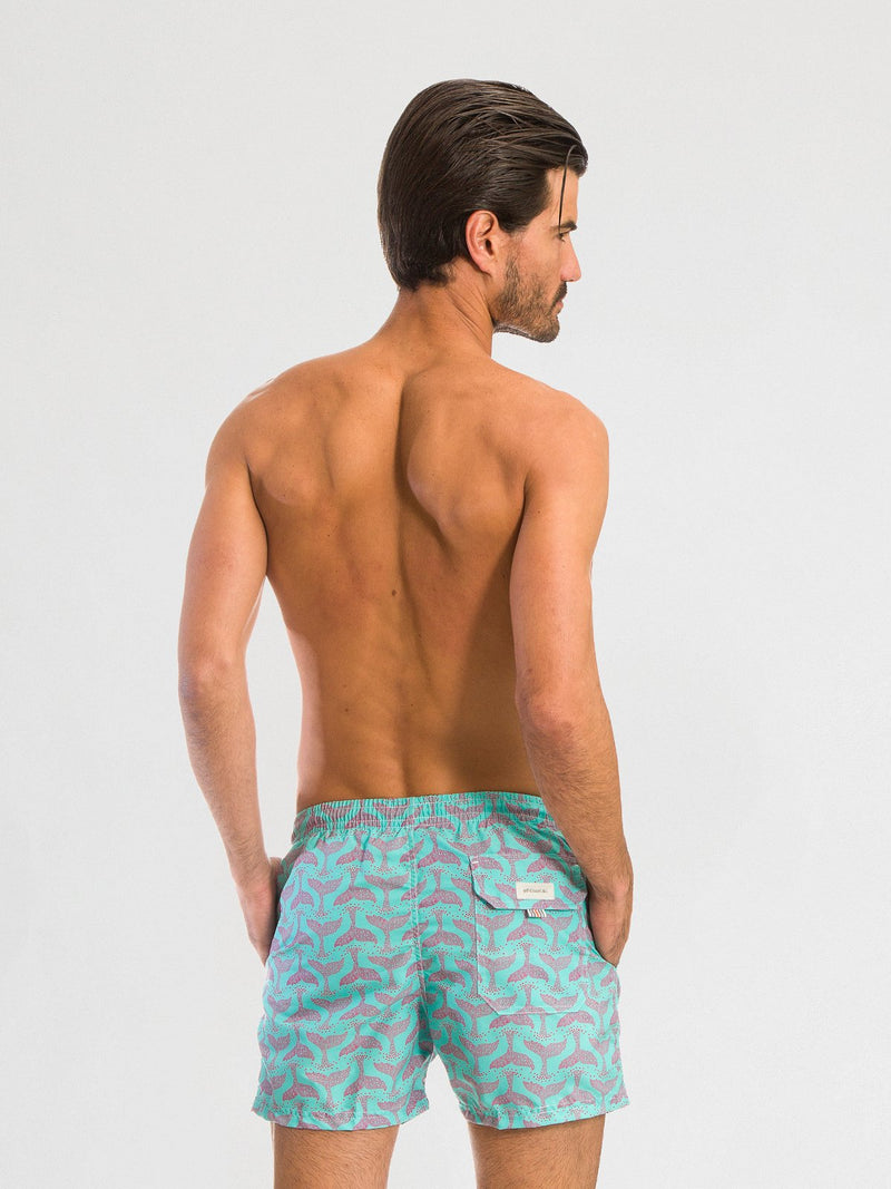 Traje de Baño para Hombre Color Azul - Whale Aqua - Sea Salt 2020