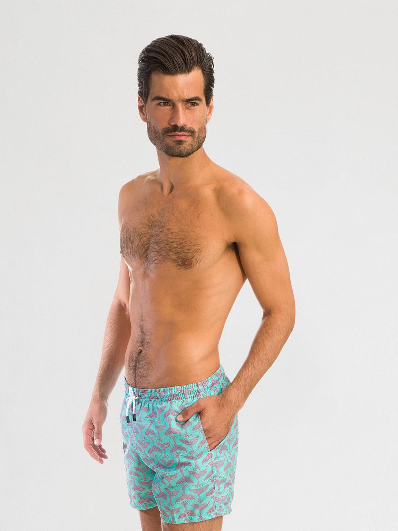 Traje de Baño para Hombre Color Azul - Whale Aqua - Sea Salt 2020